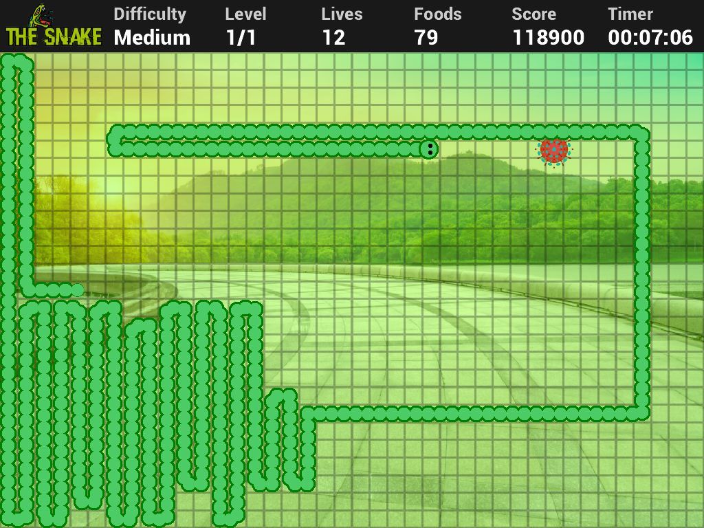 The Snake - The classic snake game revisited